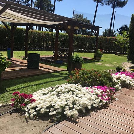 Villa De Lux With Pool Quinta do Anjo Exterior foto